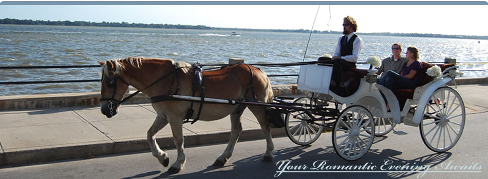 horse and buggy ride